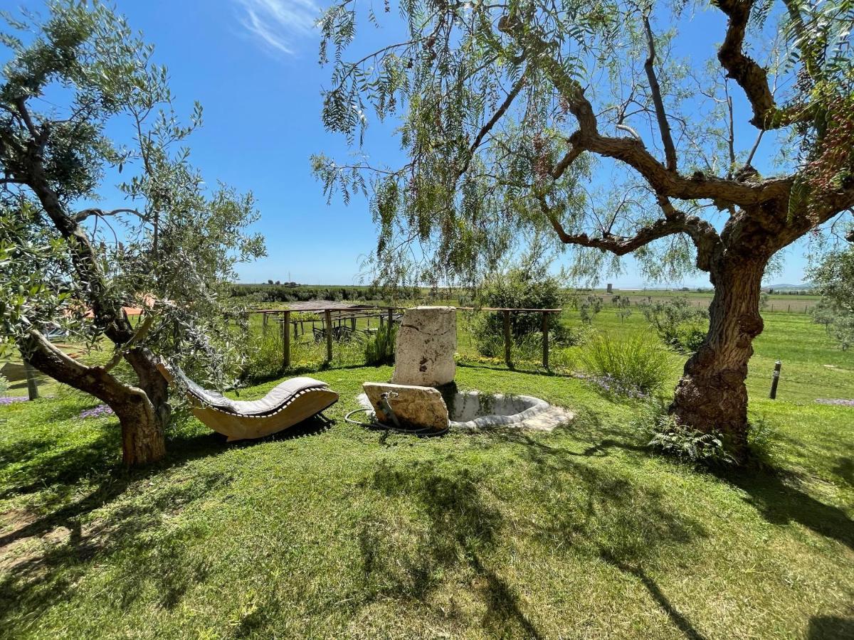Casa Daniele Guest House Canino Exterior photo